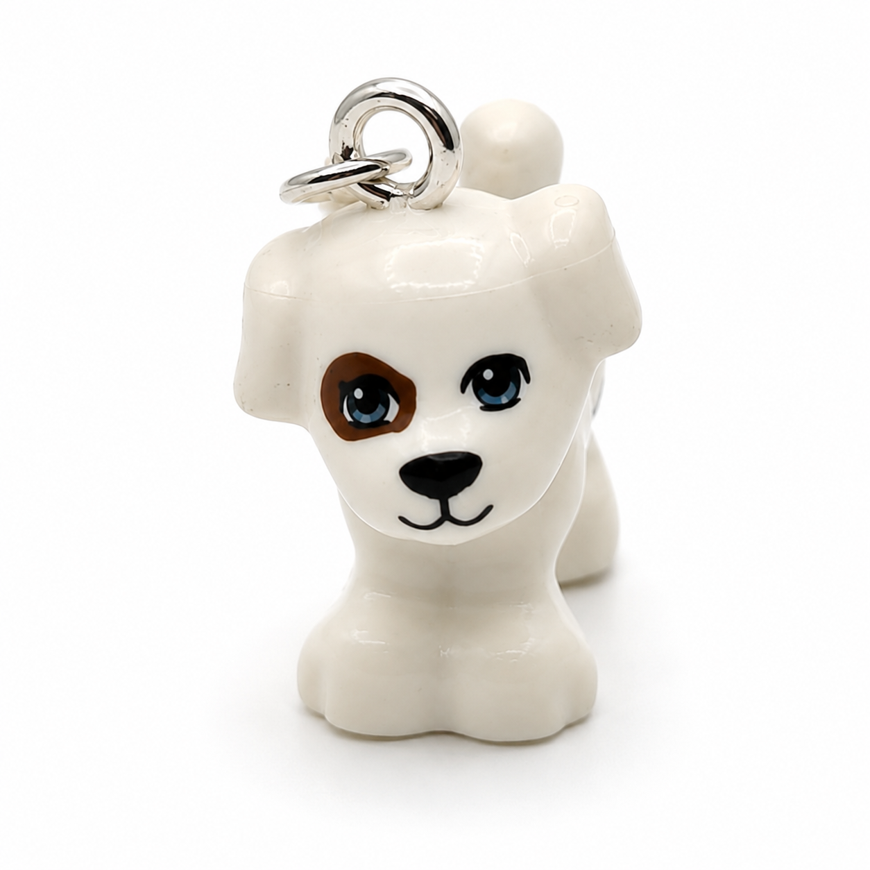 Jack Russell Puppy-Jacky